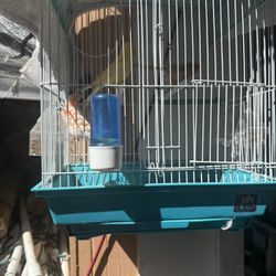 Bird Cage 