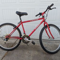 Giant Rincon 17 inches Frame.