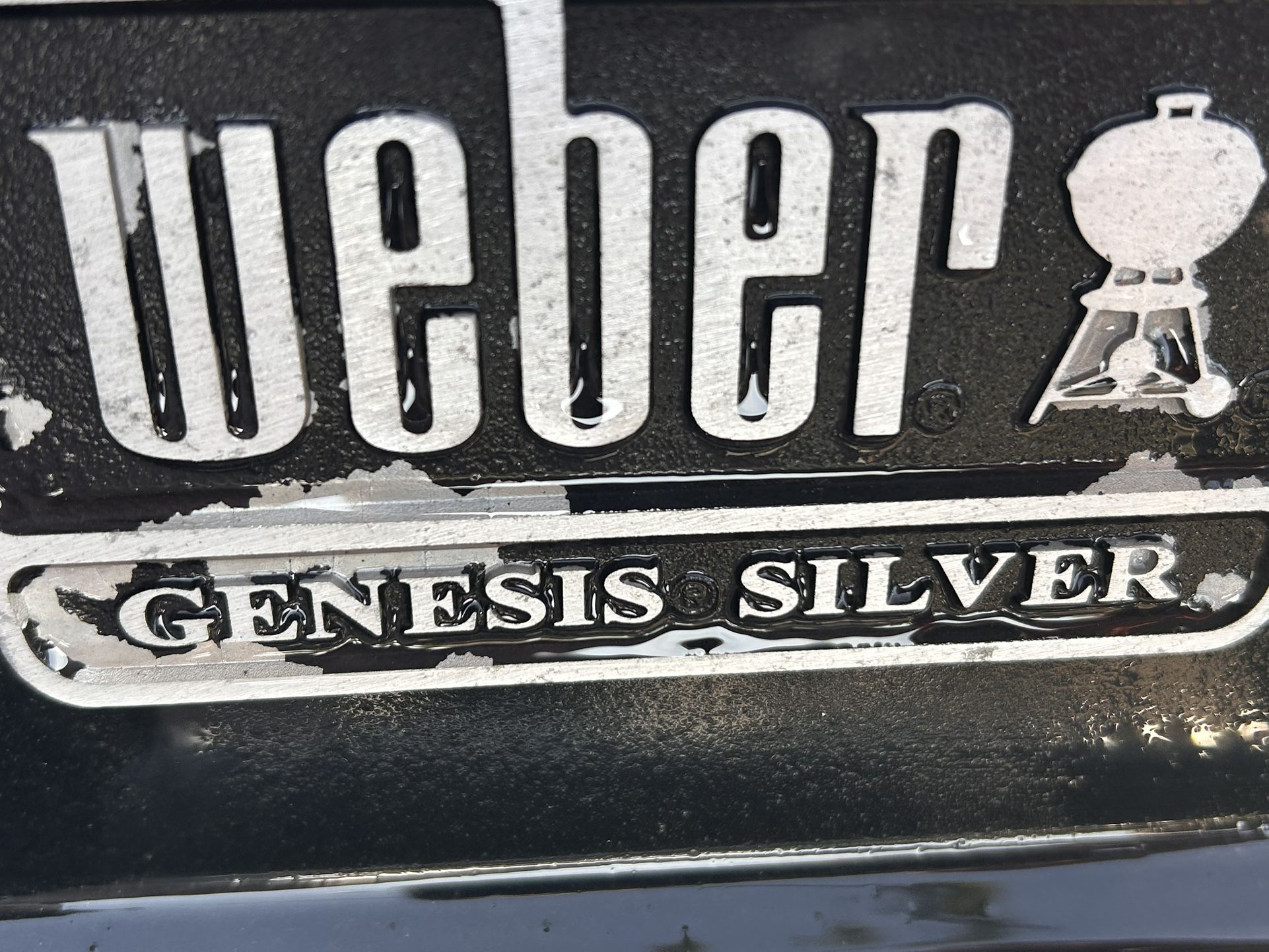 Weber Grill