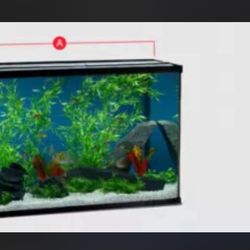 Acuario Nuevo con todo