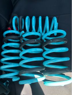 Godspeed lowering springs