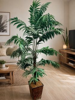 Fake palm tree - Large Decorative Tropical Palm Tree & Designer Planter