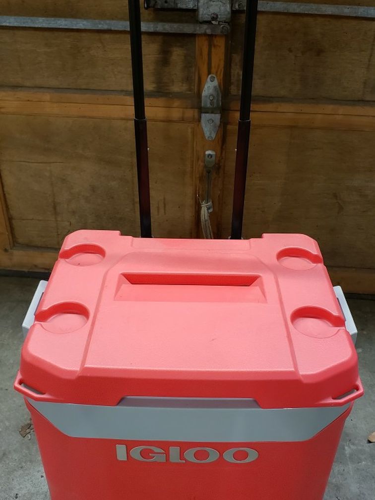 Igloo Cooler