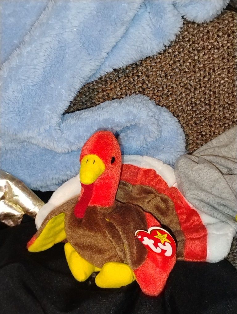 6 Ty Beanie Babies.$200 For All