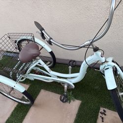 Shwinn Cruiser