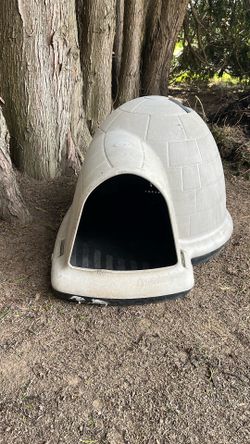 Dog House