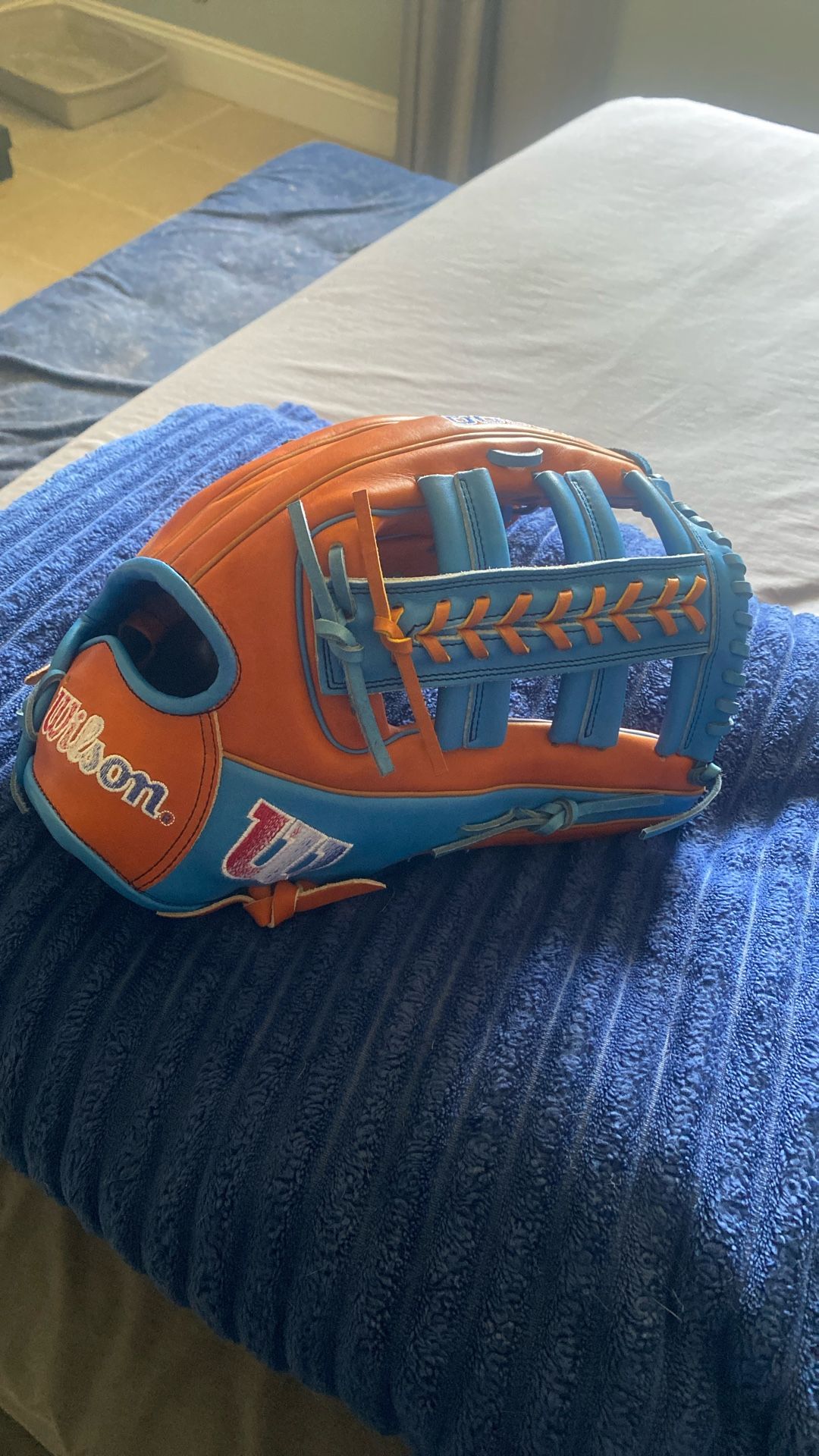 Baseball Glove