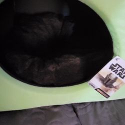 Two Brand New YodaBeds