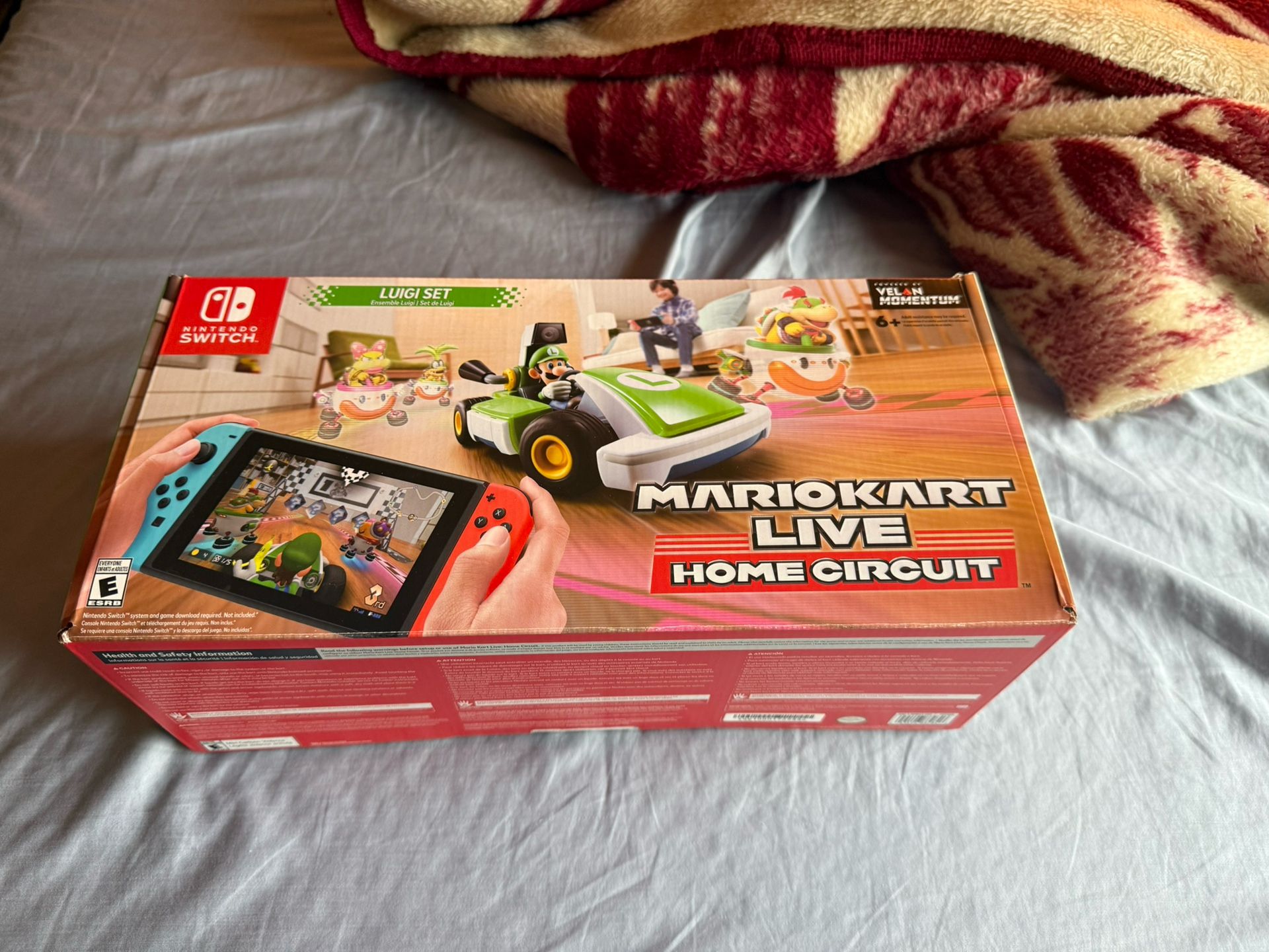 Mario Kart Live Home Circuit Luigi