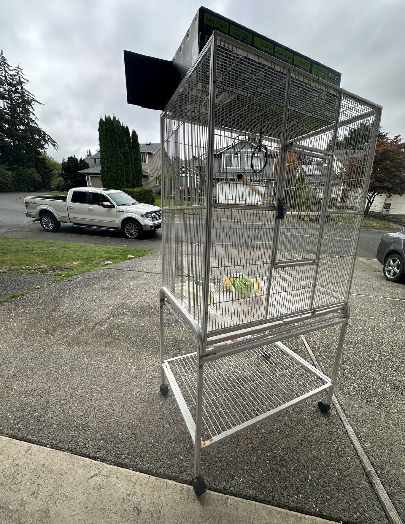 Big Cage