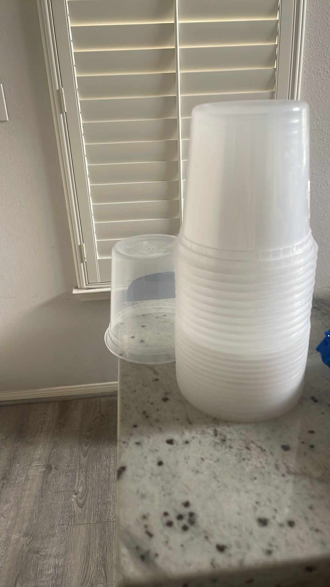 Plastic Containers Cup And Lid 12ct