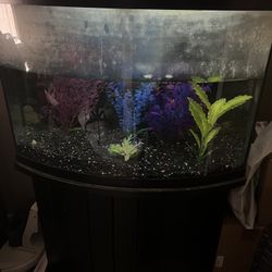 Fish tank 