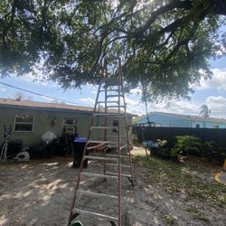 Werner 12 FT Fiberglass ladder 