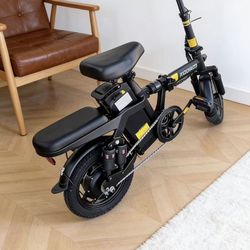 electric bike for adults
