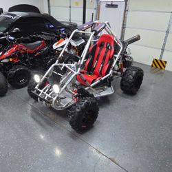 Dune Buggy (modified)