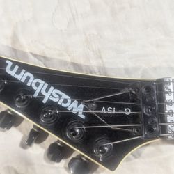 Washburn G-15v