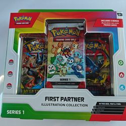 First Partner Illustration Collection