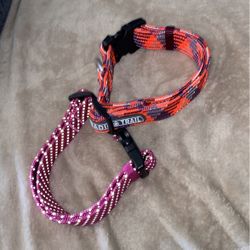 Dog Collars