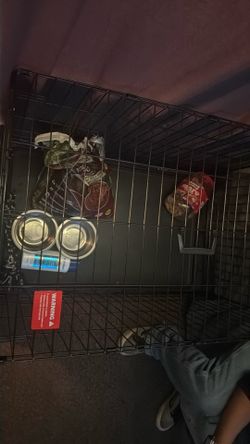 Dog crate and supply