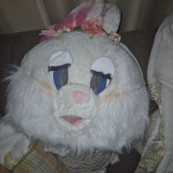 Easter BUNNY costume
