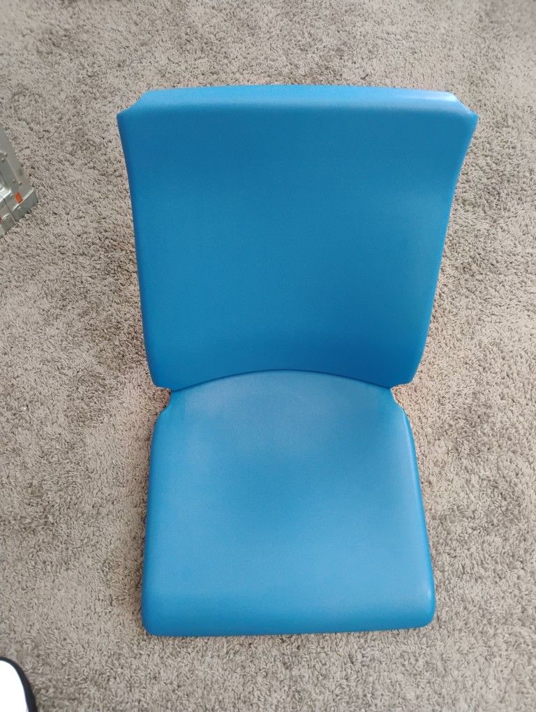 Blue Line Train Seat
