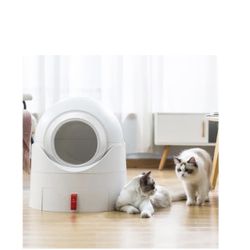 Cat Litter Box