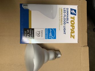 Topaz Dimmable Led Flood Light (6) Per Box