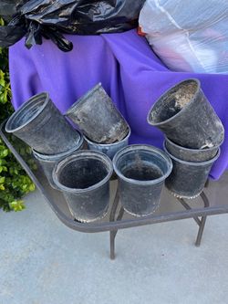 1 gallon plant pots $1 each