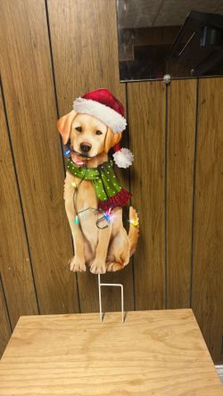 Solar Lab In Lights Stake