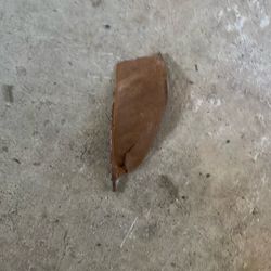 Half Of A Dead Leaf I Found In My Garage