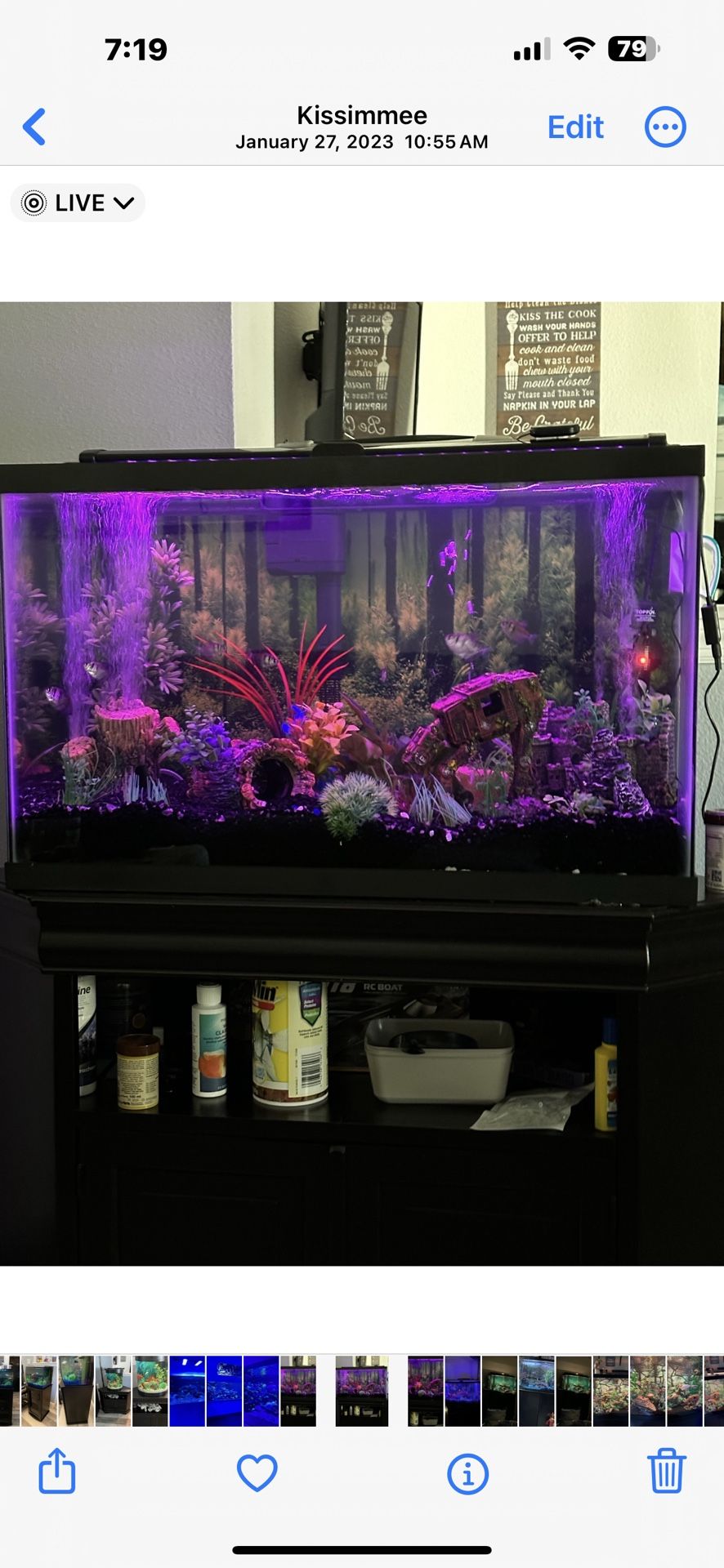 29 Gallon Fish Tank