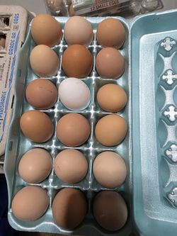 Fresh Farm Eggs - Unwashed