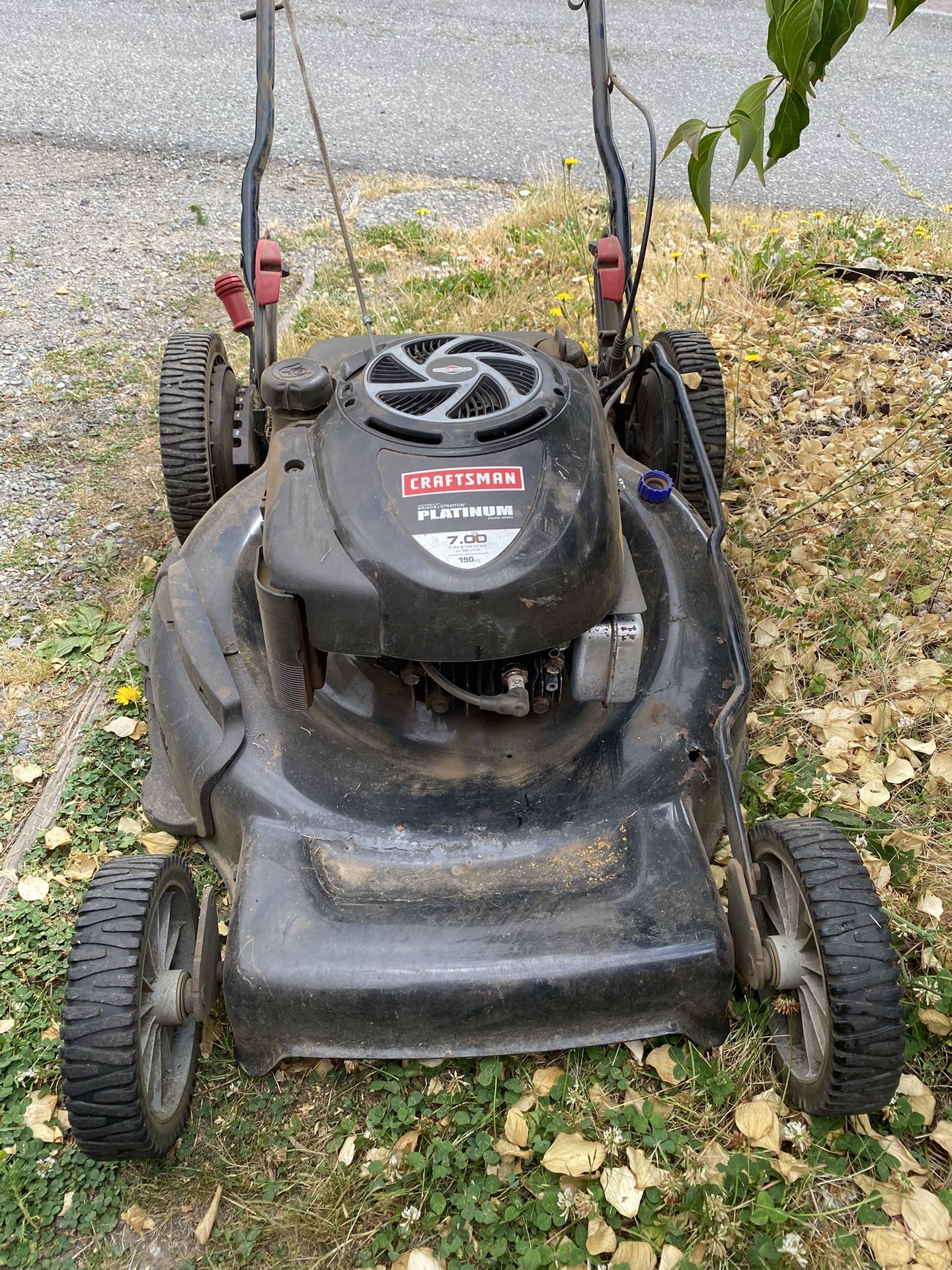 Gasoline Lawn mower