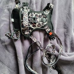 Harness And Leash