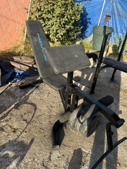 Leg Extension