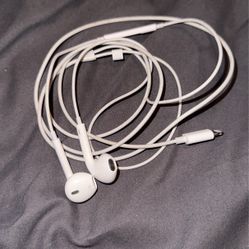 apple headphones