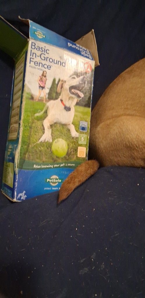 Pet Smart Wireless Fencing System 