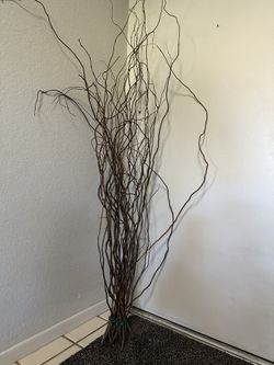 Dried Willow Branches (for decor)