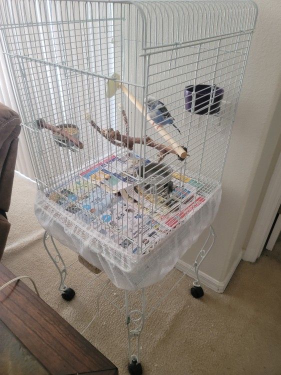 Medium Size Bird 🐦 Cage