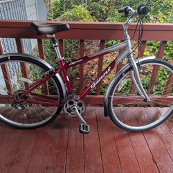 Giant Cypress 17" Medium Frame Hybrid Bicycle 700c