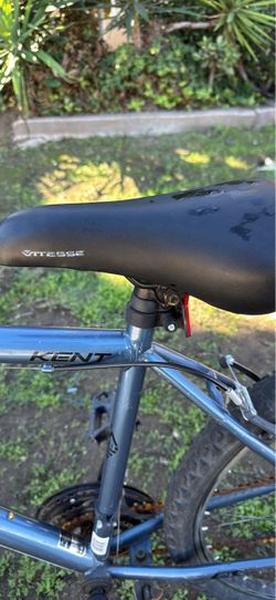 Blue bike