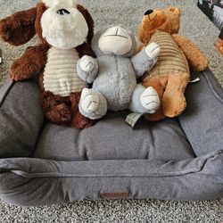 Medium Size Dog Bed and 3 stuffed abimals