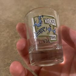 Chicago Clear-Shot Glasses