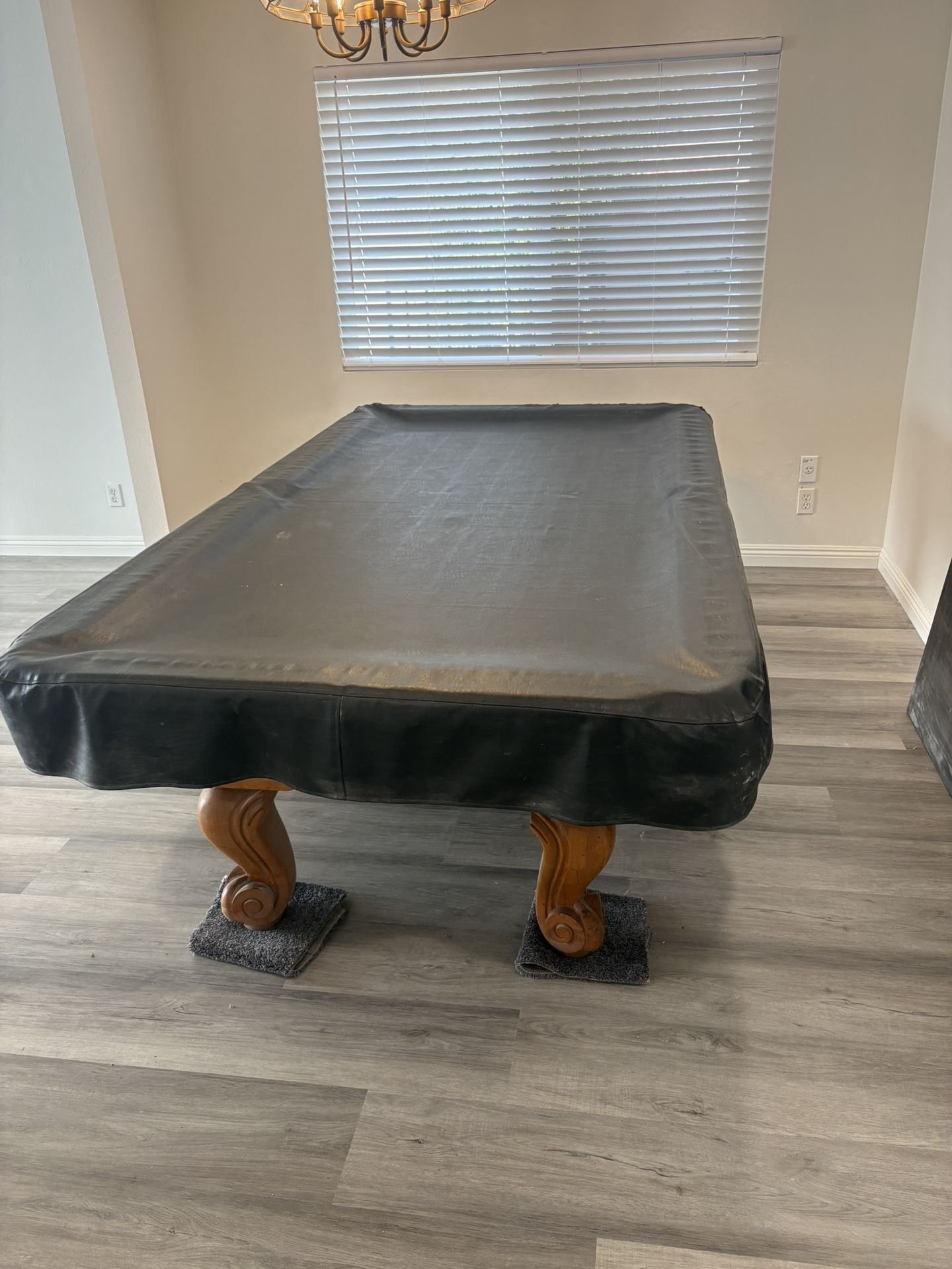 Professional Pool Table