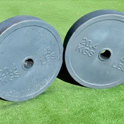 Concrete Weight Plates (Reinforced + Painted) – Pair