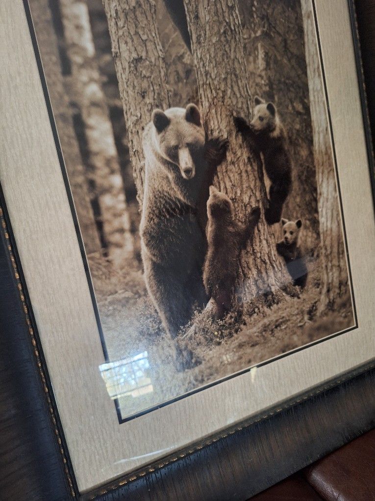 Family Tree Bear And Cubs Picture