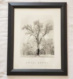 Ansel Adams  Oak Tree Snowstorm 1996 Authorized Edition Print