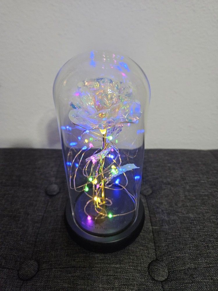 Light Up Dream Flowers Roses