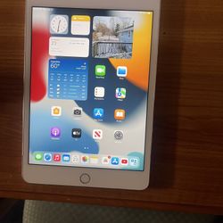 iPad Mini