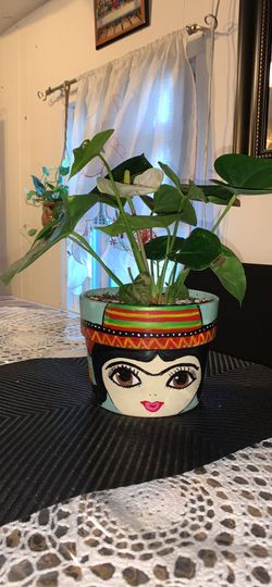 Hand painted flower pot with plant